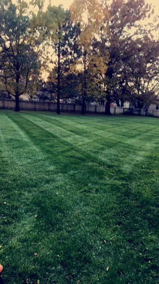 Striped lawn maintenance on a Stilwell, KS property by Volz Lawn & Landscape